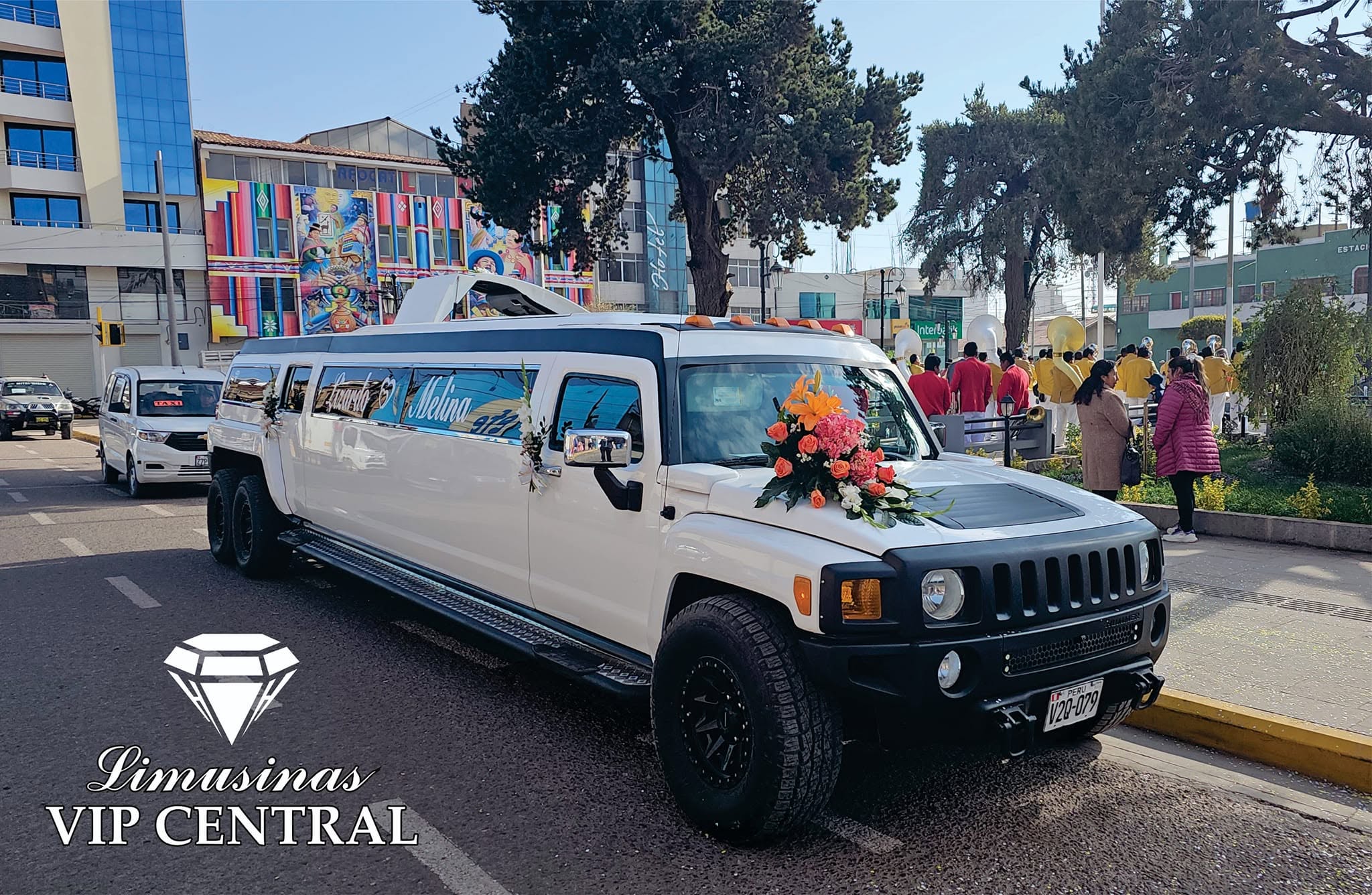 Limusinas VIP Central